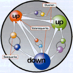 Die Seequarks kann man sich als umgebenden 'See' der Valenzquarks vorstellen.